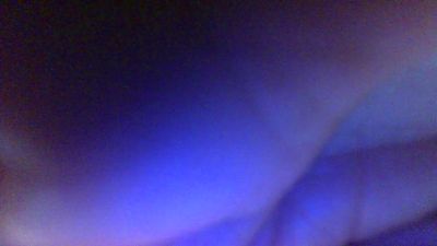 PORCELLINArm webcam model stream image