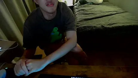 arresrin webcam model stream image
