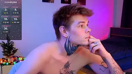 DENIS_HERE webcam model stream image