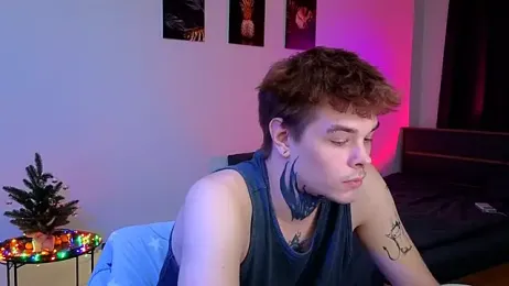 DENIS_HERE webcam model stream image