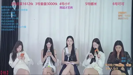 QY-002 webcam model stream image