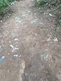 UrsoBissexualPauGrosso webcam model stream image