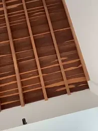 curchez_ webcam model stream image