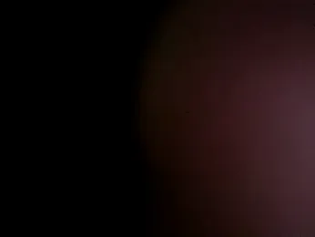 acidrainbow webcam model stream image