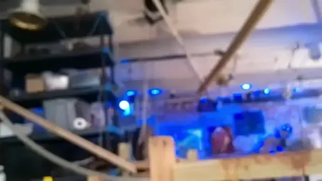 ctguybj webcam model stream image