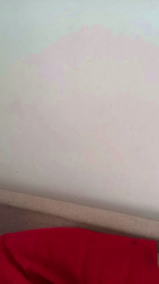 loirinhodailha webcam model stream image