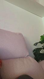 al7603 webcam model stream image
