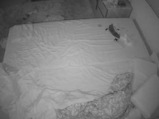 voyeurcam-julmodels-whitebed-3 webcam model stream image