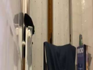 focusdick2 webcam camsoda model stream image