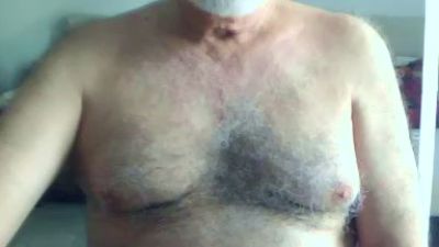 horny60bear webcam model stream image