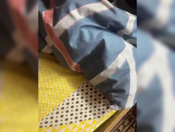 Cat-meowa webcam model stream image