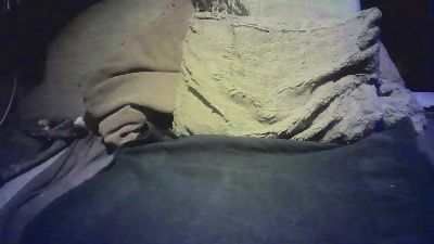 Trekjongen webcam model stream image