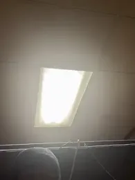 ProveYourLoyalty webcam stripchat model stream image