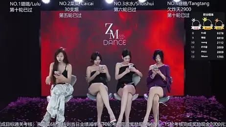 SK-001 webcam model stream image