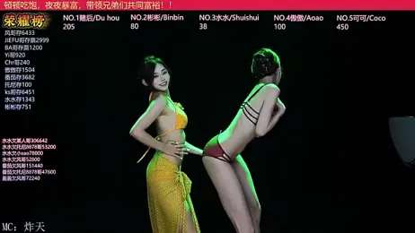 SK-001 webcam model stream image