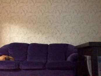 EnotPanteera webcam model stream image
