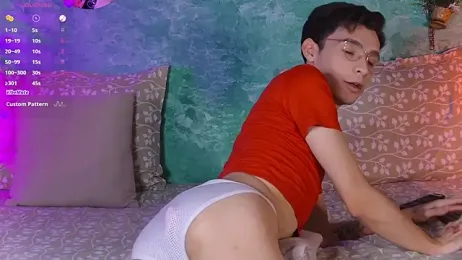 VicenteFerrer webcam model stream image