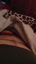 davidof3127 webcam model stream image