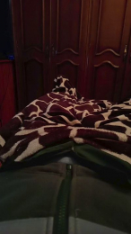 davidof3127 webcam model stream image