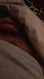 davidof3127 webcam model stream image