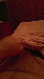 davidof3127 webcam cam4 model stream image