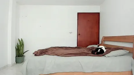 MitchellXD webcam model stream image