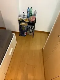 Wild2XXX webcam model stream image