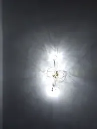 charlye_inkkkk webcam stripchat model stream image