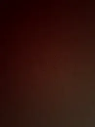 Zero231212 webcam model stream image