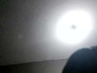 cricket111a webcam model stream image