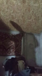 florin166 webcam model stream image