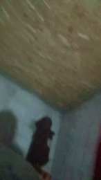 florin166 webcam model stream image