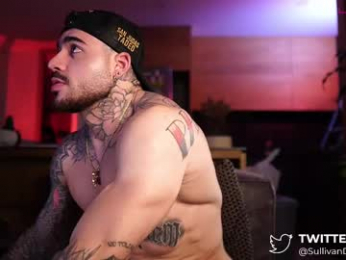dominic_sullivan1 webcam model stream image