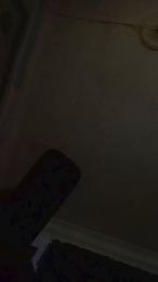 Vikingodelsur webcam model stream image