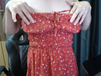 _Lin_ webcam model stream image