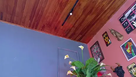 tony_megan webcam stripchat model stream image