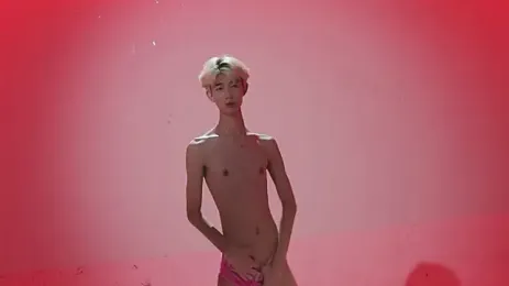 PG-000 webcam model stream image