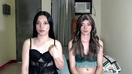 ursassytrans webcam model stream image