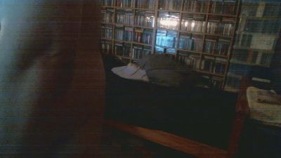 mojitosguy webcam cam4 model stream image