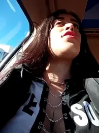 Freyja300 webcam model stream image