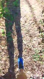 big_blackc webcam model stream image