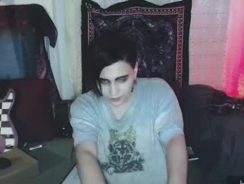 panther_cap webcam model stream image