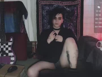 panther_cap webcam model stream image