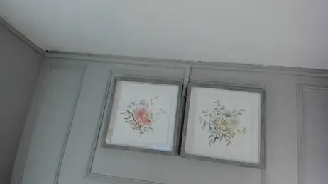 ana_beckett webcam stripchat model stream image