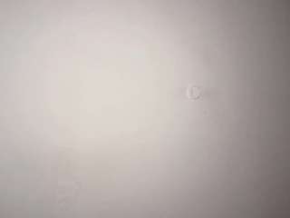 cindieklitz webcam model stream image