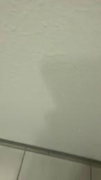 Michback webcam model stream image