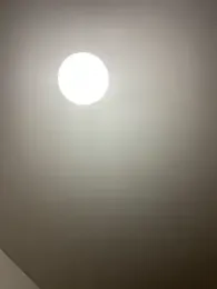 nowariwish webcam stripchat model stream image