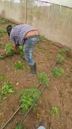 jo23_xxx webcam cam4 model stream image