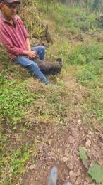 jo23_xxx webcam cam4 model stream image