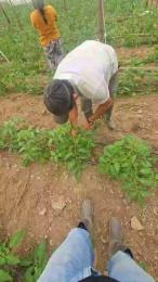 jo23_xxx webcam cam4 model stream image